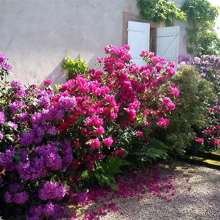 Bed & Breakfast Lumineuse Avec Espaces Communs Et Court De Tennis A - Fr-1-589-713 Aydoilles