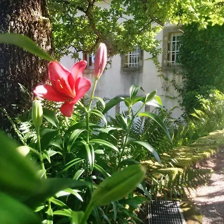 Bed & Breakfast Lumineuse Avec Espaces Communs Et Court De Tennis A - Fr-1-589-713